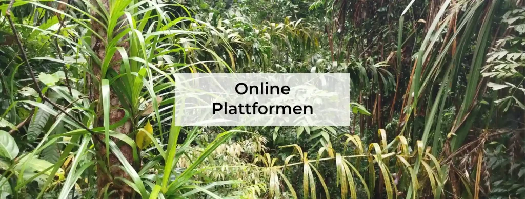 Überblick Online Plattformen