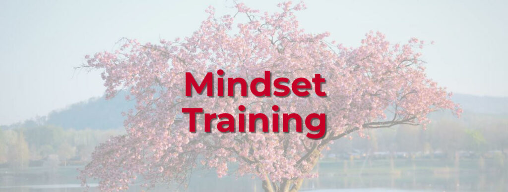 Auswirkungen Mindset im Training
