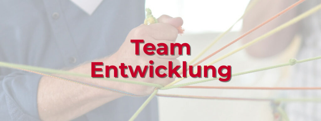 Teamentwicklung im Training