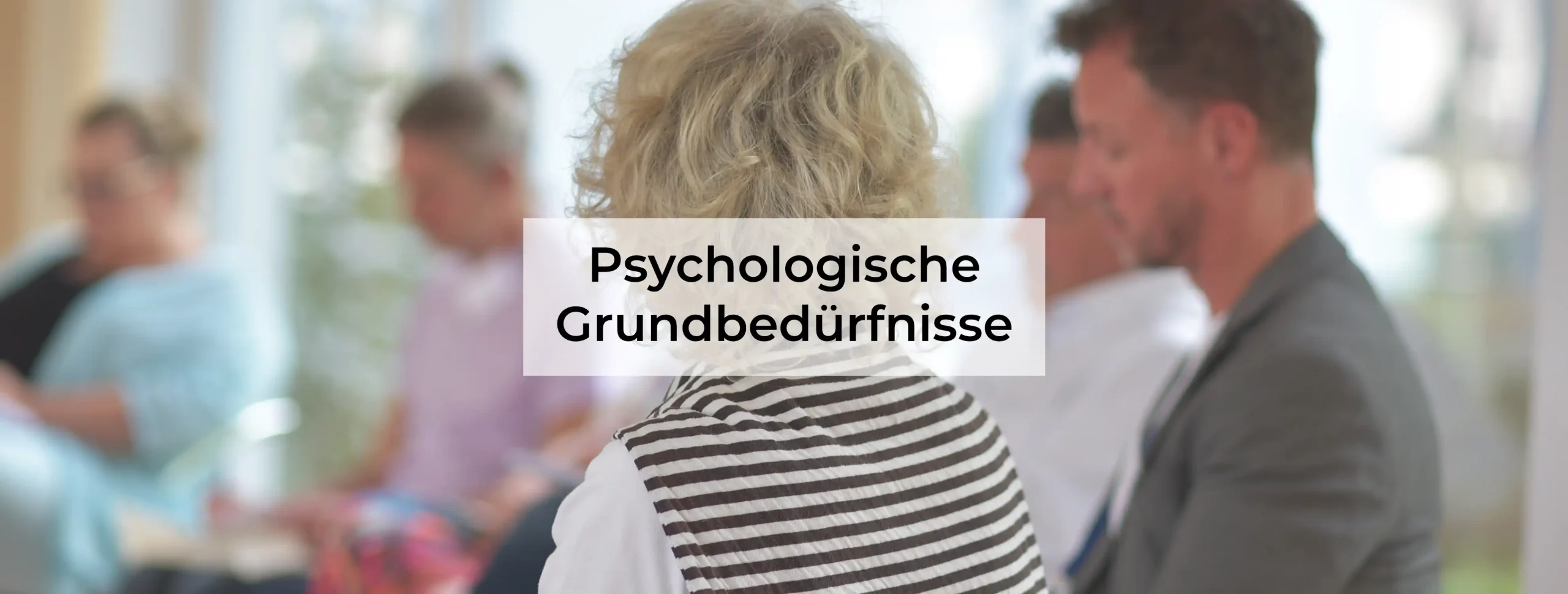 befriedigung der grundbedürfnisse Psychologische Grundbedürfnisse erklärt ✓ inkl. Workbook