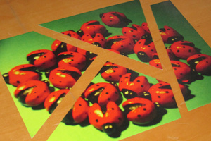 Bildteile ziehen für Kleingruppenarbeit