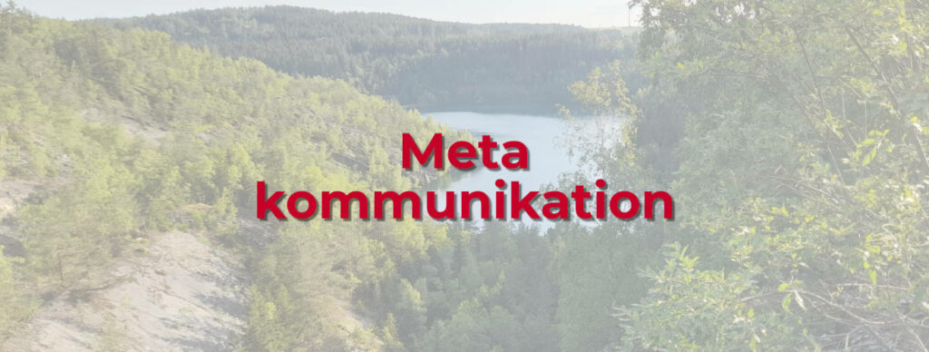 Mit Metakommunikation auf Meta gehen und die Bedeutung im Training