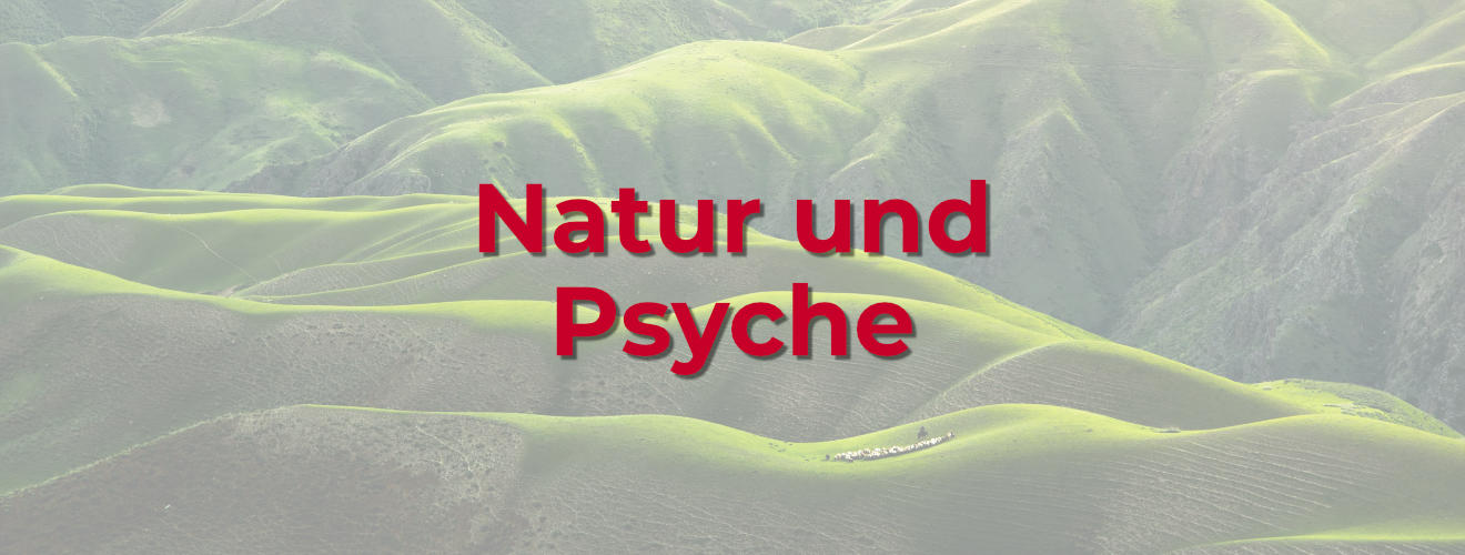 Natur und Psyche Blog Image