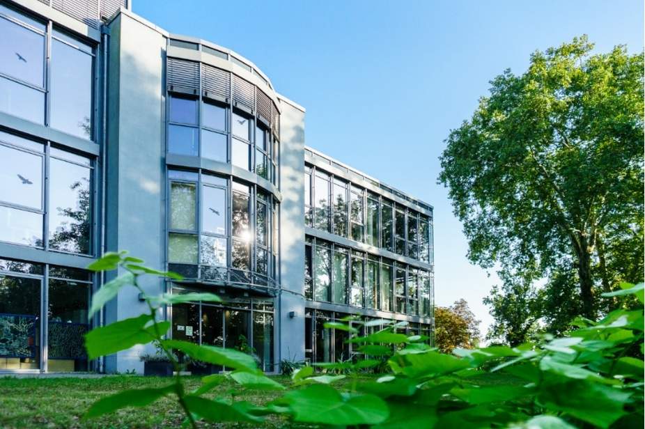Das Bild zeigt ein modernes Gebäude mit vielen großen Glasfenstern. Die Fassade ist hell und klar gestaltet. Die Fenster spiegeln den Himmel und die umliegenden Bäume. Vor dem Gebäude liegt eine grüne Wiese. Im Vordergrund sieht man frische grüne Blätter. Rechts steht ein großer Baum mit dichtem Laub. Das Bild zeigt die Rückseite vom Herrenhaus Möckern.