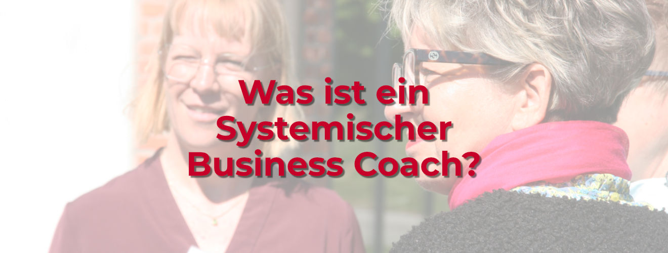 Was ist ein Systemischer Business Coach? Blog Image