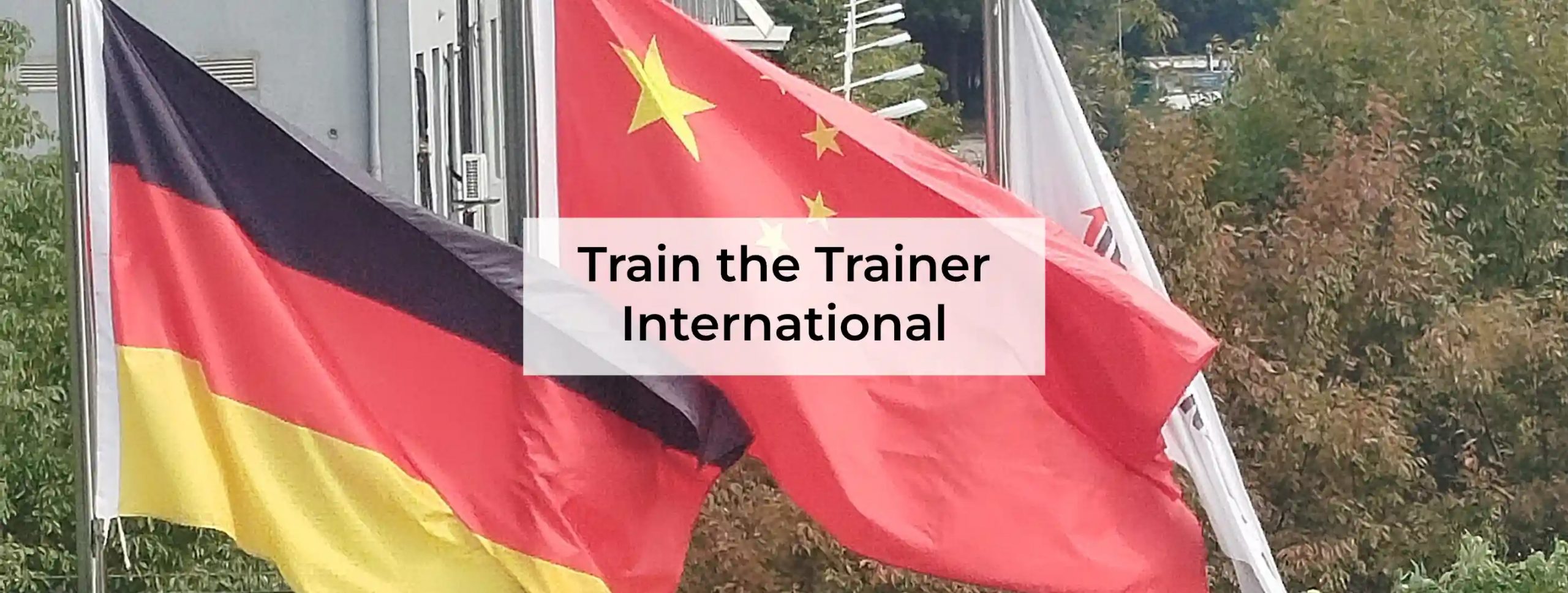Train the Trainer in Asien Blog Image