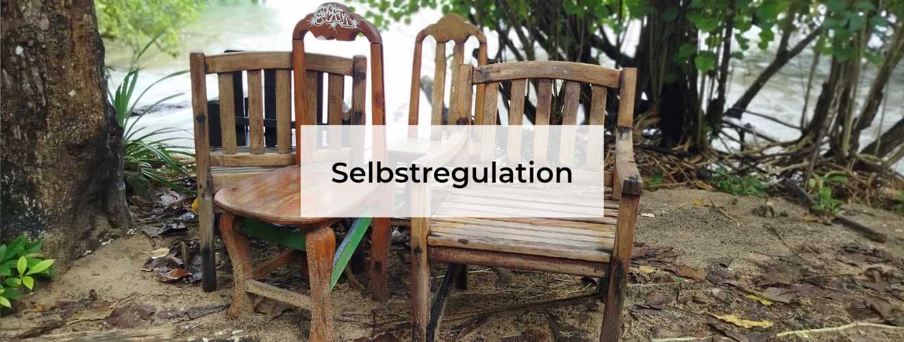 Gute Vorsätze, Willensstärke und Selbstregulation Blog Image