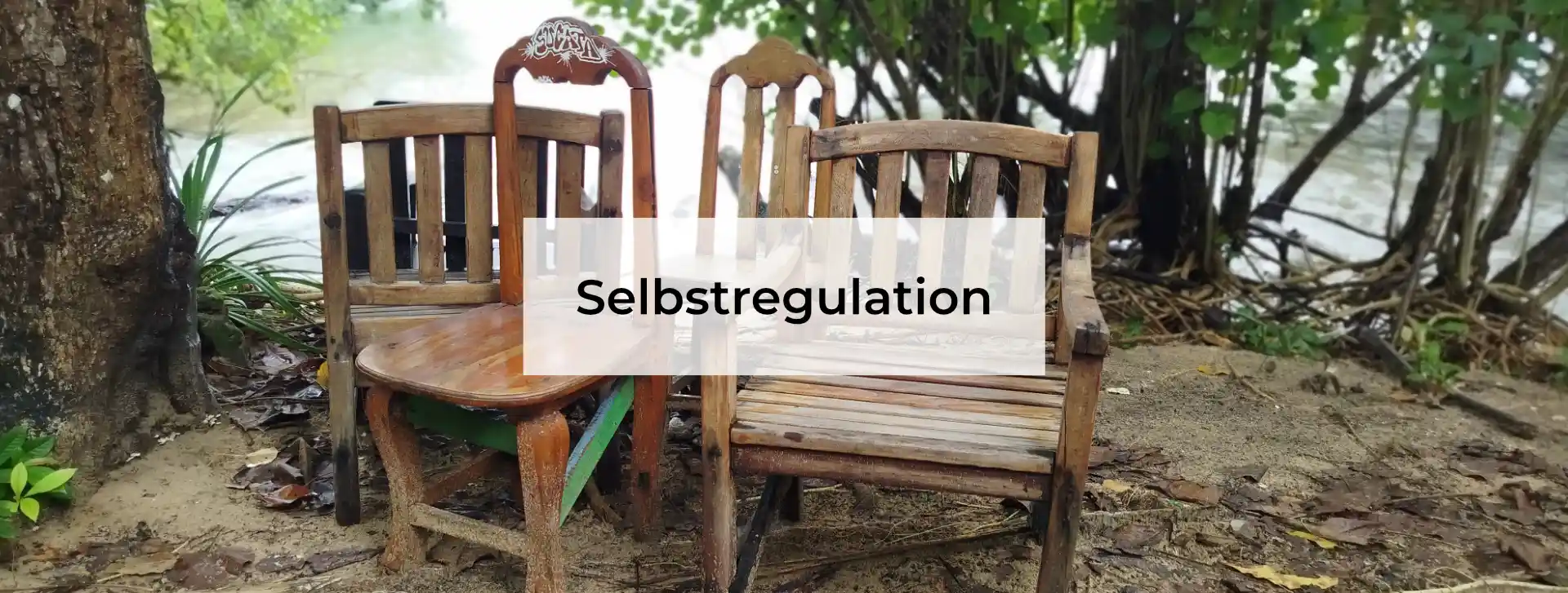 Gute Vorsätze, Willensstärke und Selbstregulation Blog Image