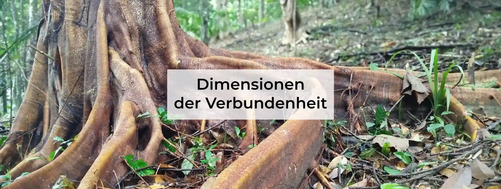 Dimensionen der Verbundenheit Blog Image